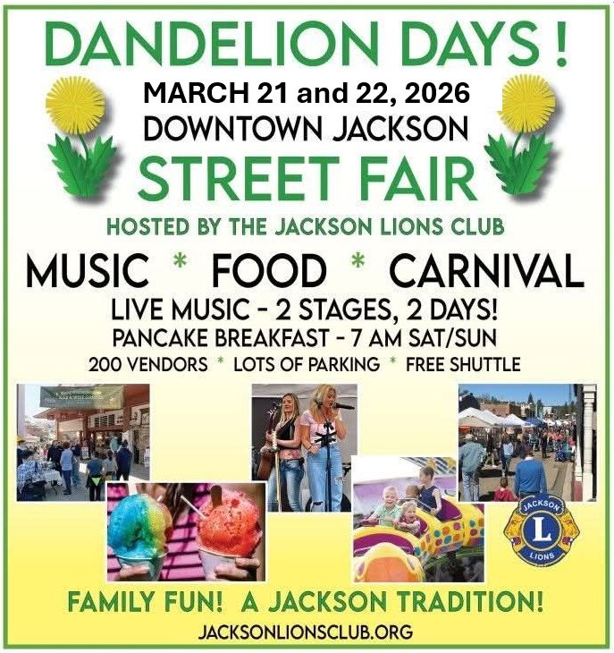 Dandelion Days poster